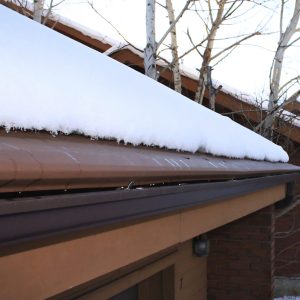 Storm Damage Restoration in Davidson County