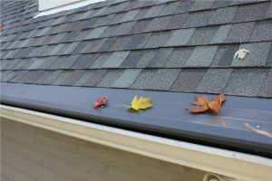 Siding & Gutters